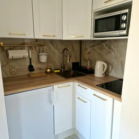 Apartment Klodzka Roza