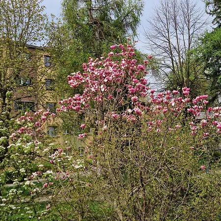 Golden Rose Apartment *