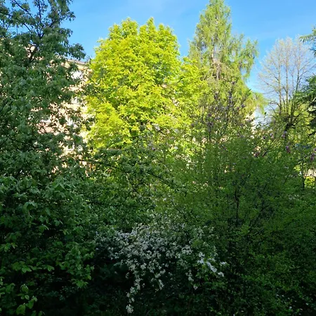 Apartamento Golden Rose Kłodzko