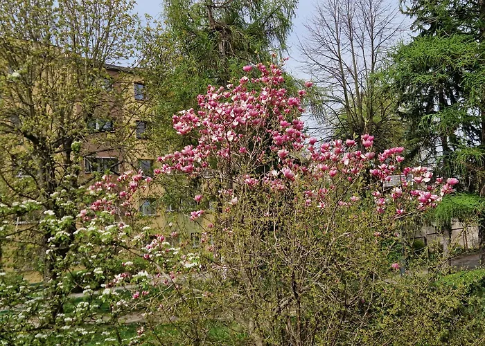 Golden Rose Apartment *