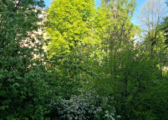 Apartment Golden Rose Kłodzko